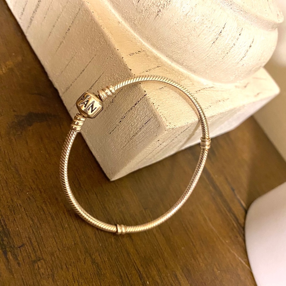 Pandora Bracelet
